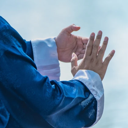 Qi Gong Taiji
